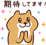 テーブルデザインピンク２行